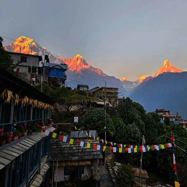 Mardi Himala and Khopra Danda Trek: 18 Days