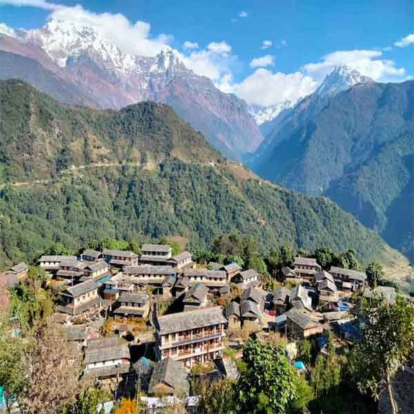 Kathmandu- Pokhara - Ghorepani - Chitwan Comprehensive Tour