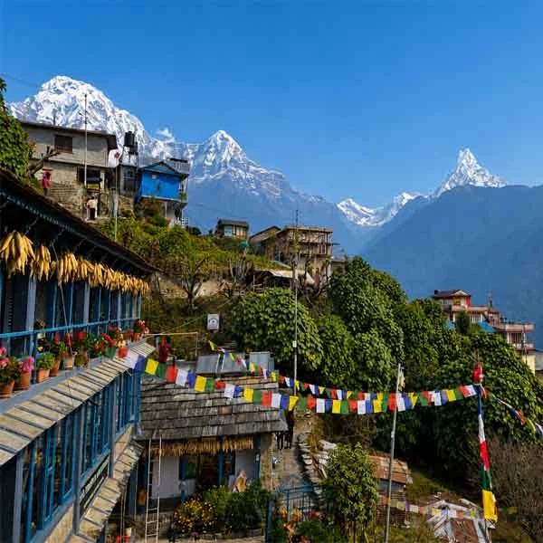 Kathmandu- Pokhara - Ghorepani - Chitwan Comprehensive Tour