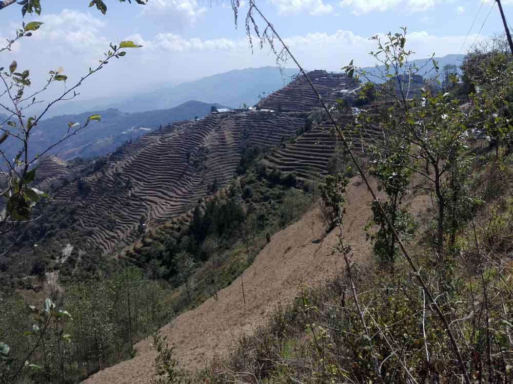 Gul Bhanjyang