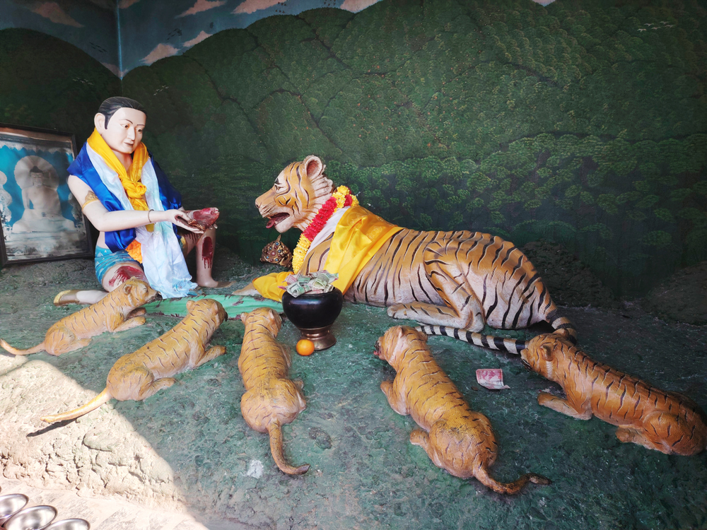 hungrytigers