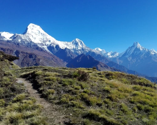 Annapurna Panaroma Khopra Trekking 