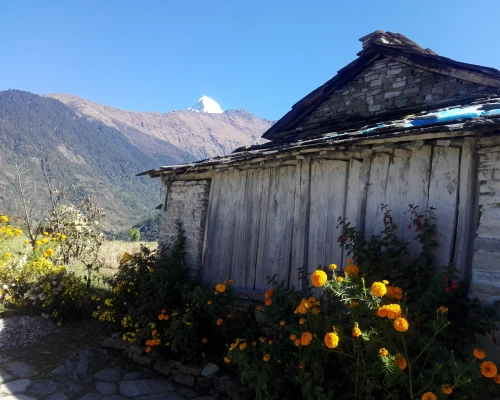 Annapurna Panaroma Khopra Trekking 