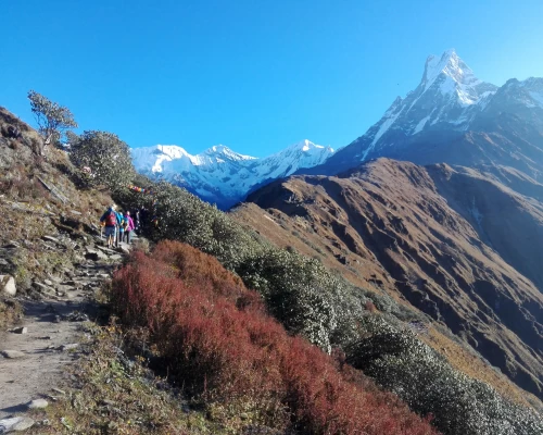 Annapurna Panaroma Khopra Trekking 