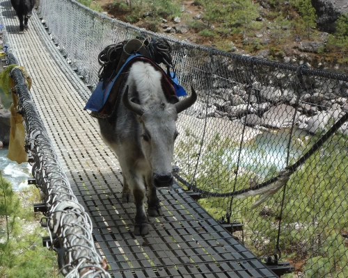 Ebc Chola Pass Gokyo Lake Trekking 
