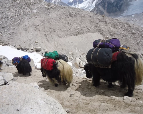 Ebc Chola Pass Gokyo Lake Trekking 
