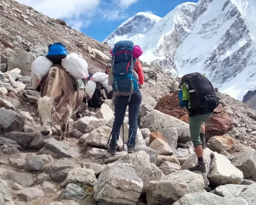 Everest Base Camp Trekking 