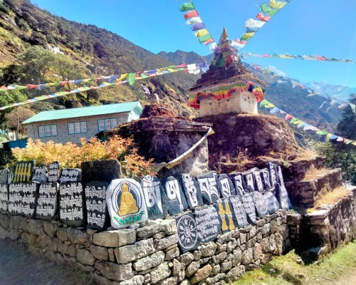 Everest Comfort Trekking 