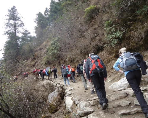 Everest Sherpa Village Trekking 