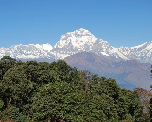 Ghorepani Trekking 