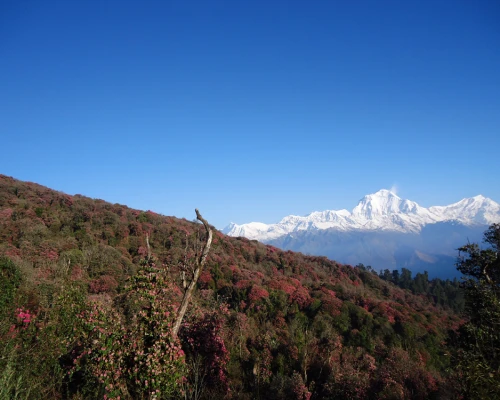 Ghorepani