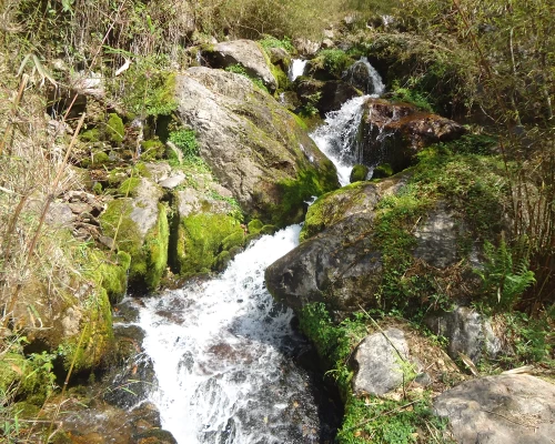 Helambu Valley Trekking 