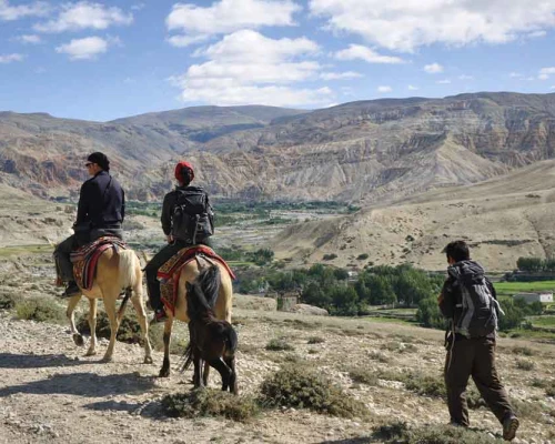Horse Ridding