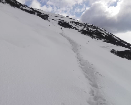 Langtang Ganjala Pass Trekking