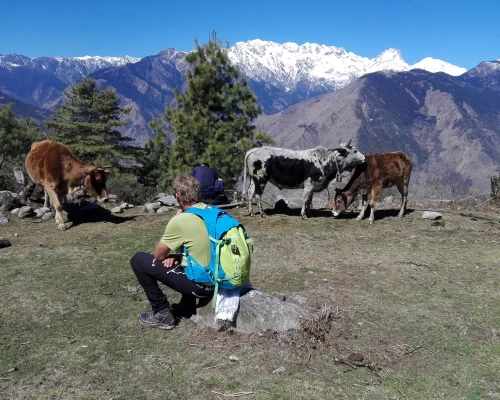 Langtang Gosainkunda Lake Trekking