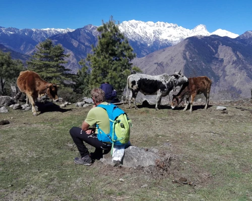 Langtang Rubby Valley Trekking 