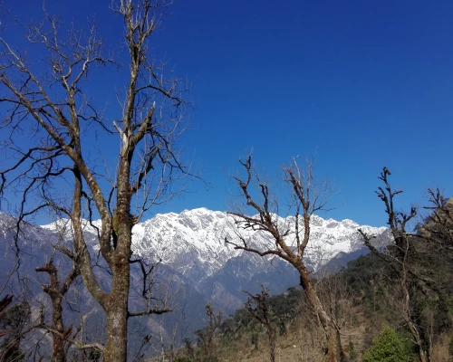 Langtang Rubby Valley Trekking 
