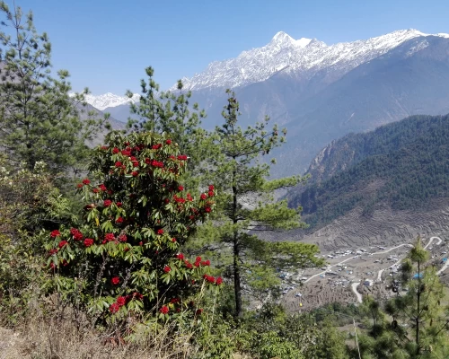 Langtang Rubby Valley Trekking