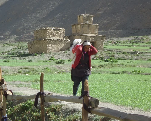Lower Dolpo Trekking 