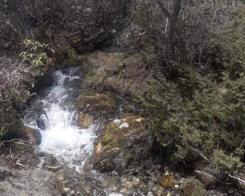 Makalu Base Camp Trekking