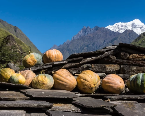 Manaslu Circuit Trekking