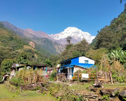 New Annapurna Balcony Trekking