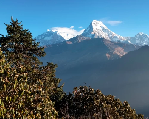 New Annapurna Balcony Trekking