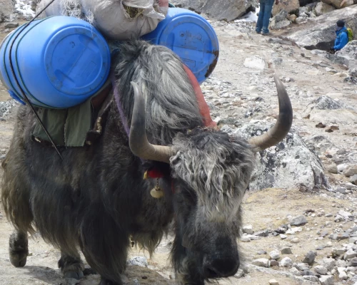 Solu Everest Base Camp Trekking 