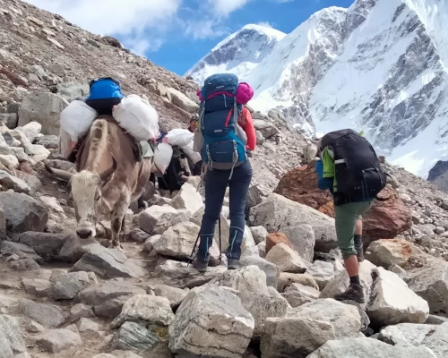 Solu Everest Base Camp Trekking 