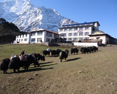 Solu Everest Base Camp Trekking