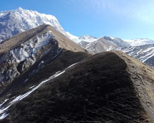 Trekking In Langtang Valley