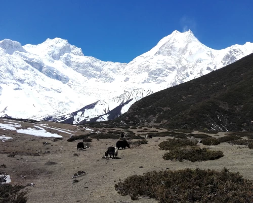 Tsum Valley Manaslu Circuit Trekking 