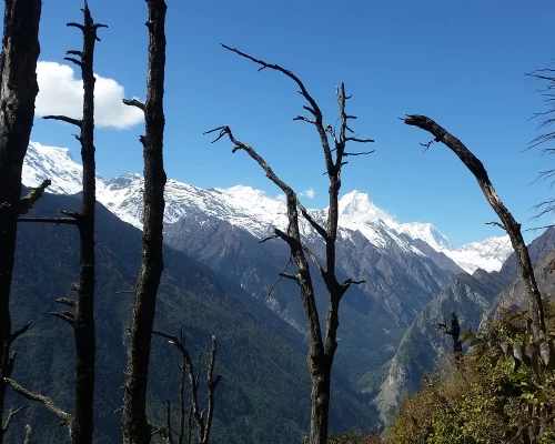 Tsum Valley Manaslu Circuit Trekking