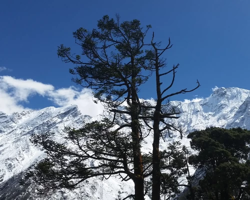 Tsum Valley Trekking 