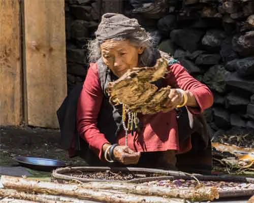 Olangchung Gola Trek: 18 days